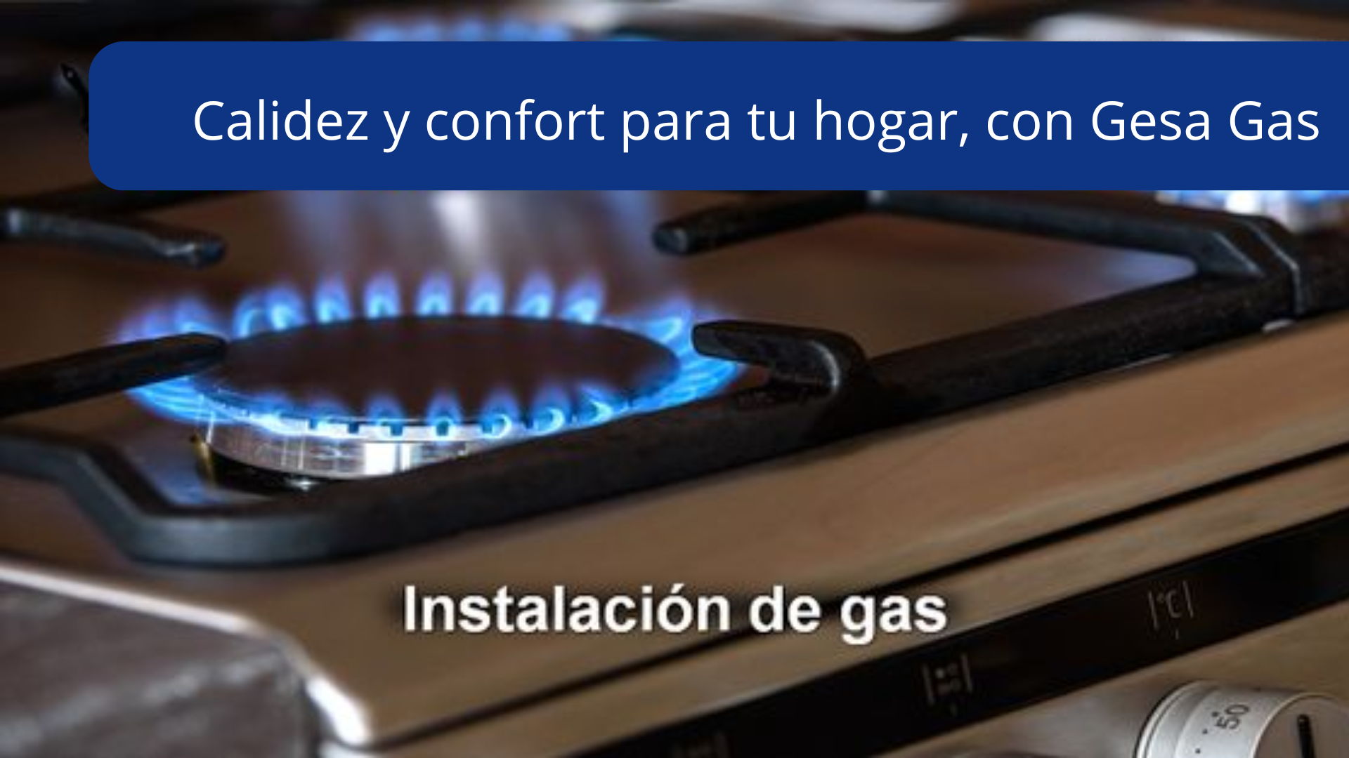 Descripción de la imagen